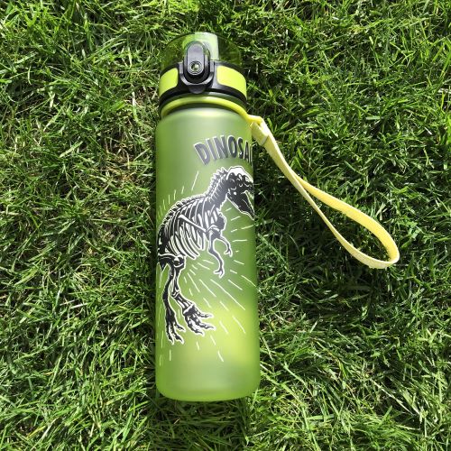 Tritanová zdravá lahev na pití pro děti - Dinosaurus