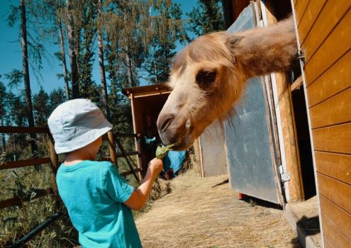 Ošetřovatelem v ZOO - nejlepší zážitkový dárek pro děti