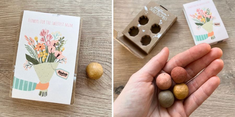 Recenze: Jak rostou semínkové bomby Blossombs